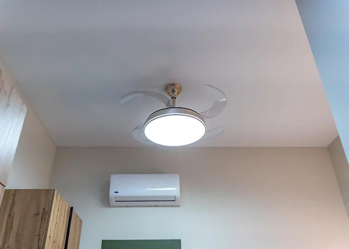 Designer Of Deribas *